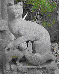 Fox Guardian Right