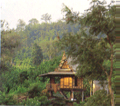 Meditation hut