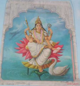 Brahma